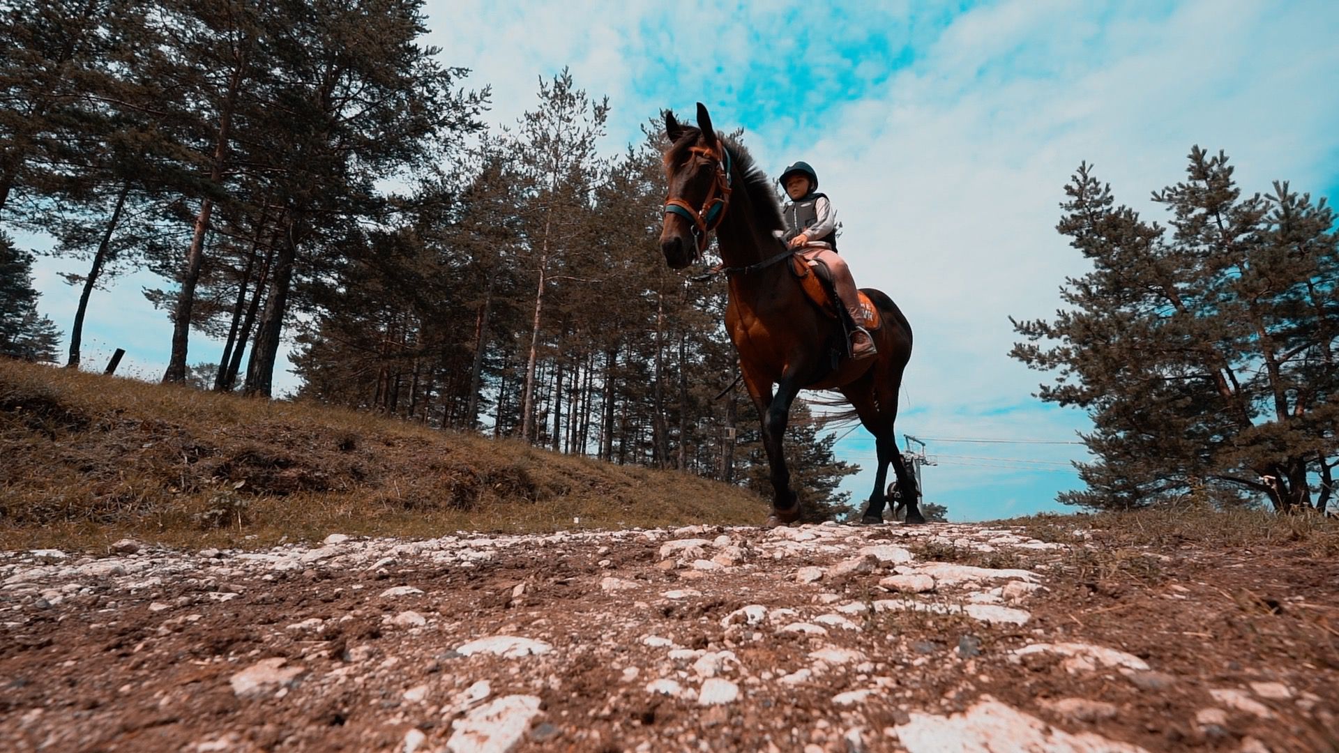 Zlatibor