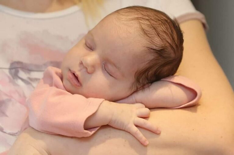 321501909_2647743845365551_775466813448986463_n-768x510 (1)