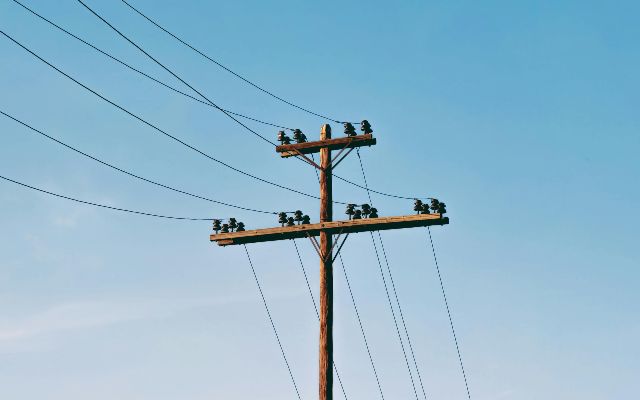 pexels-alexander-buzurnyuk-3828467-24861264-1